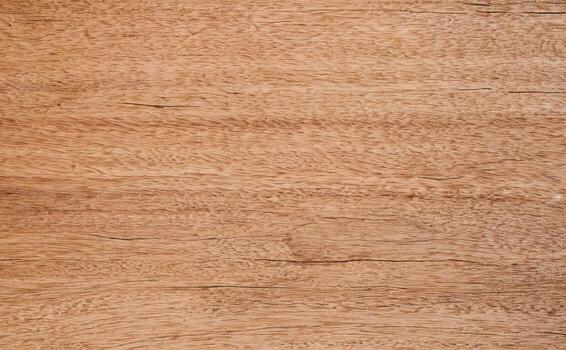 Mango Wood